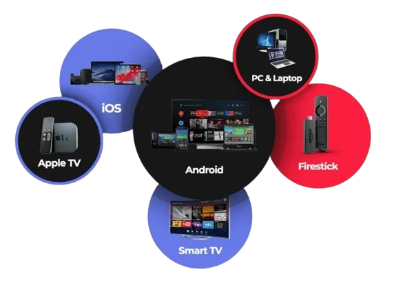 ADULT IPTV